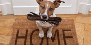 The Villages at Dover Glen Gallery 19