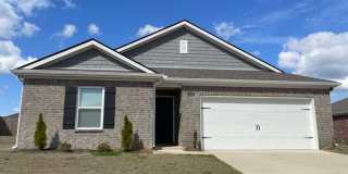 BRAND NEW HOME! Gallery 1