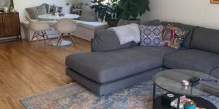 Beautiful, Light-Filled 4 bed, 2 bath North Boulder Home! Gallery 5