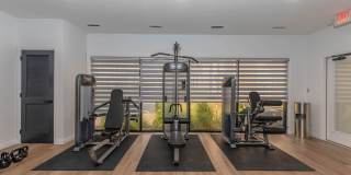 Terrica Urban Living Gallery 40