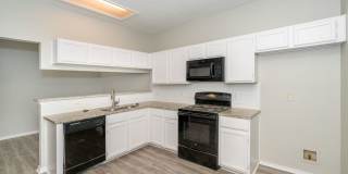 BEAUTIFULLY UPDATED 3-BEDROOM HOME IN TIMBER RIDGE Gallery 11