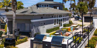 Ava Newport Gallery 13