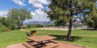 The Vue at Spring Creek Gallery 22