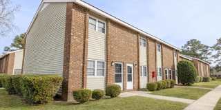 Cardinal Village Gallery 41