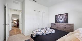 4763 ARGAND Drive Gallery 13
