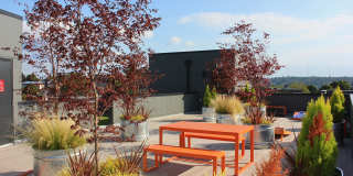 The Rocket - Student Housing Gallery 33