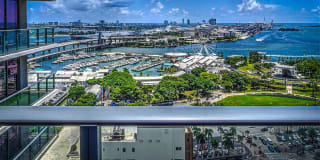 Alea Miami Gallery 18