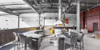 Plant 64 Gallery 25