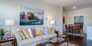 La Contessa Gallery 24