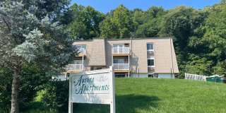 Newly Renovated Apartments Gallery 1