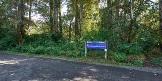 Ivorywood Gallery 32