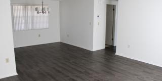 Beautiful large 2 bedroom 2 bath in New Port Richey Beautiful large 2 bedroom 2 bath in New Port Richey Gallery 19