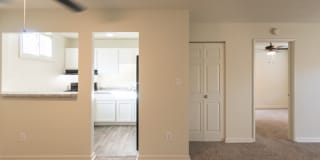 College Woods Gallery 33