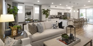 Homecoming at The Preserve Gallery 13