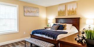 Paugus Woods Gallery 28