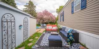 183 Flicker Street Gallery 19