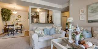 The Regency at River Valley Gallery 38