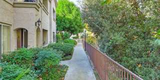 Elan Riverwalk Gallery 4