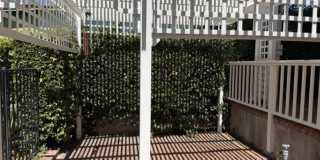 Spacious & Charming 3 Bedroom and a Den Home with Beautiful Updates Gallery 34
