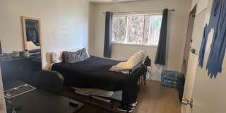 6 Bedroom 3 Bath- Large rooms, AC Gallery 28