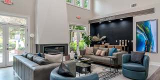 The Residences on McGinnis Ferry Apartments Gallery 19