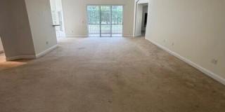 1459 Areca Palm Drive Gallery 17