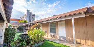 3742 Motor Ave. Gallery 16