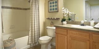 Madison Park Gallery 10