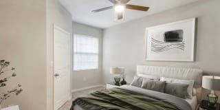 Windsor Coral Springs Gallery 11