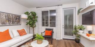 Vineyards Gallery 129