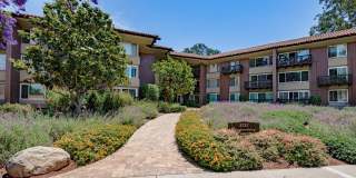 Desirable San Roque Condo Gallery 1