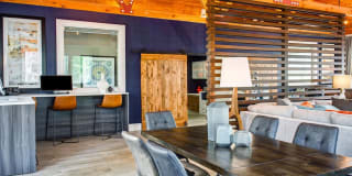 Sofi at Cedar Mill Gallery 27