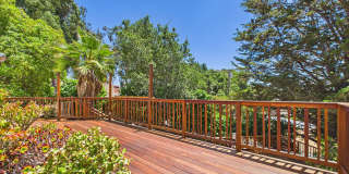 Beautiful serene and private Belmont home Gallery 33