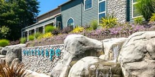 Waterscape Gallery 12