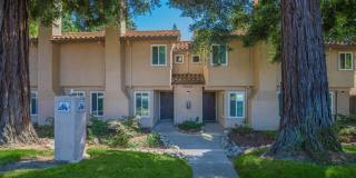 Southwood Townhomes Gallery 19