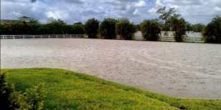 2583 Appaloosa Trail Gallery 24