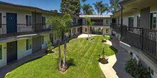 Citrus Gardens Gallery 20