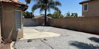 15177 Dandelion Gallery 25