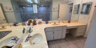 804 PALM HARBOR COURT Gallery 18