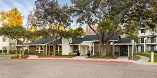 Briarwood Gallery 13