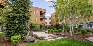 Madison Bellevue Gallery 17