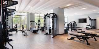 The Hartley Gallery 5