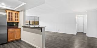 143 Hoyt Street Gallery 4