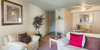 Colony Hills Gallery 3