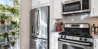 9274 Cardinal Forest Ln Gallery 11