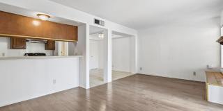 3208 ISLA MORADA Drive Gallery 7