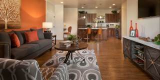 San Privada by Mark-Taylor Gallery 5