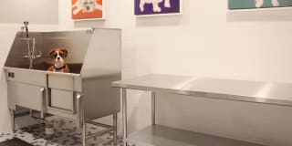 SkyHouse Denver Gallery 100