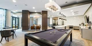 Edition on Oberlin Gallery 7