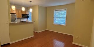 Recently Renovated 1 bedroom apartment in Columbia Heights Recently Renovated 1 bedroom apartment in Columbia Heights Gallery 1